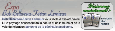 Acadien Exhibit 2009 Banner